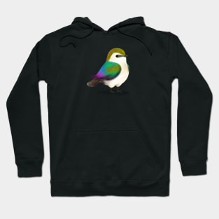 Violet Green Swallow Hoodie